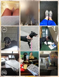 WITL-13-Tuesday-9 Photos-1