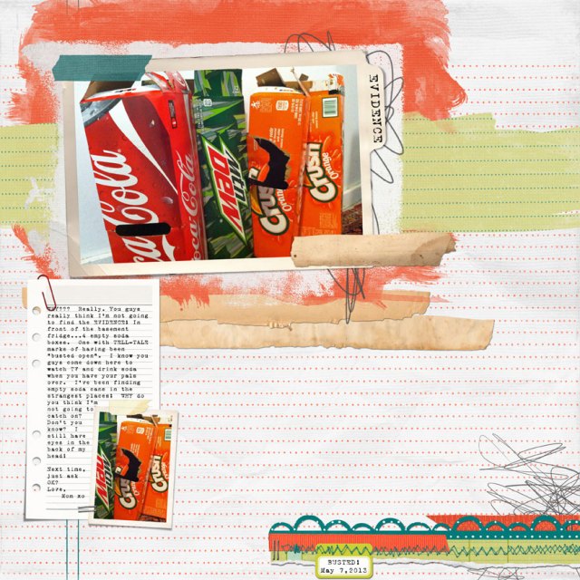 2013-49-05-07-13-Why---Totally-Busted-WEB