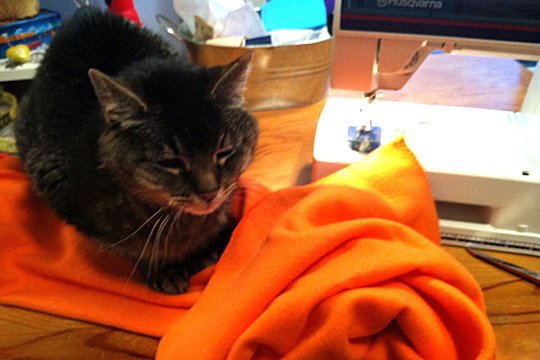 fred and the orange pants