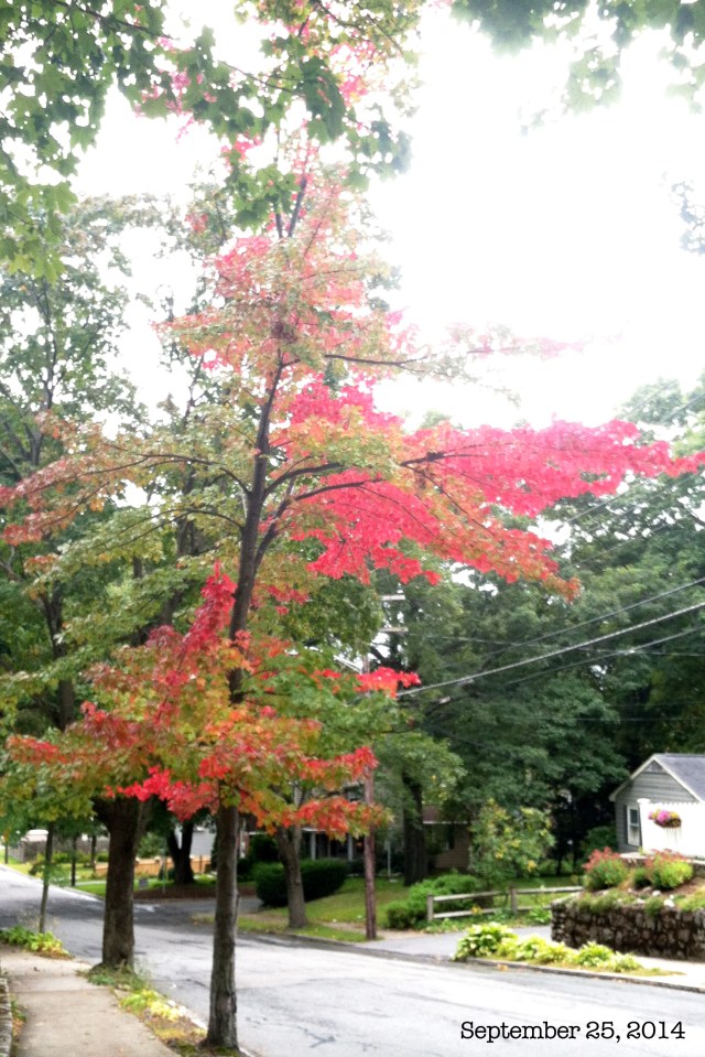 This moment 09-25-14