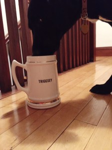 as always…dog approved