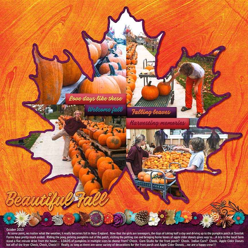 Beautiful-Fall-1-Summer-Fades-WEB1